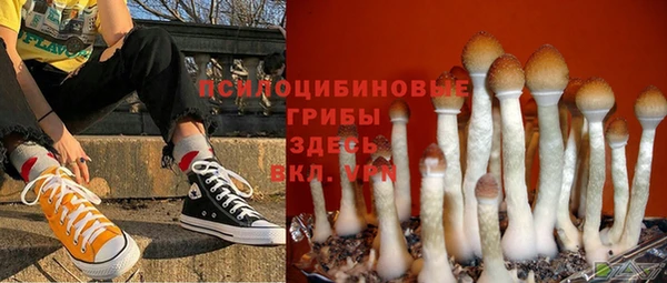 прущие крисы Магас