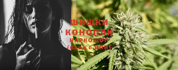 гашик Липки