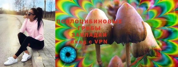 прущие крисы Магас