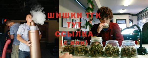 спиды Михайлов